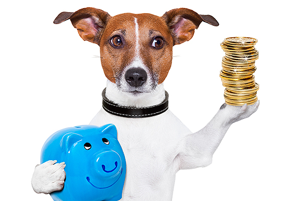 Qué nos puede enseñar sobre finanzas nuestro perro Banco Mediolanum